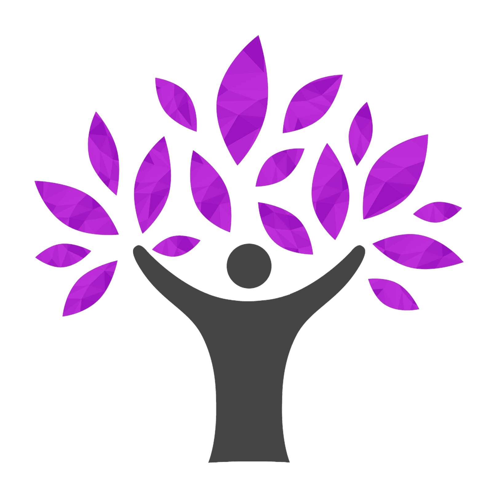 SRS Vidya Mandir emblem