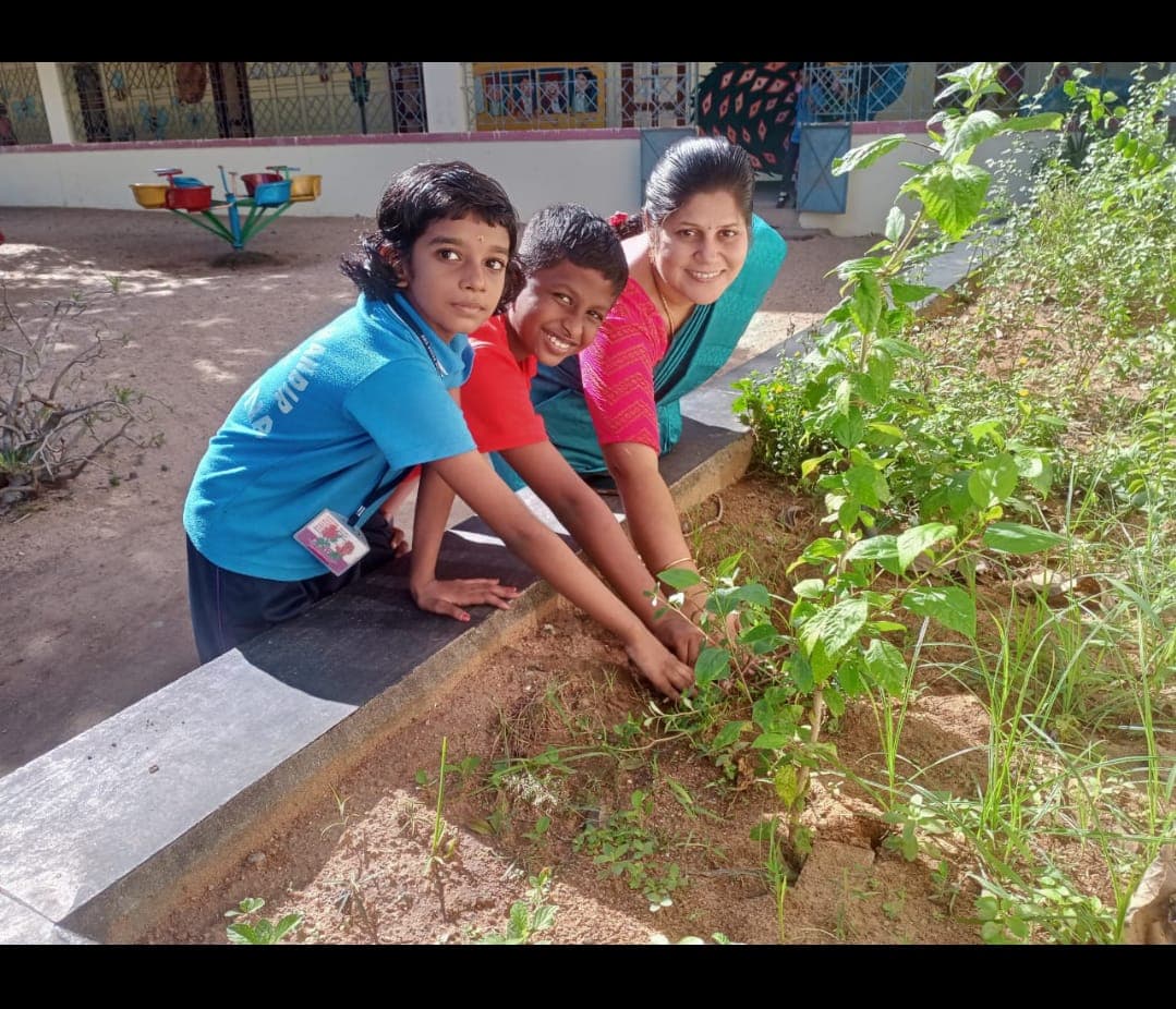 Club Activity - Science